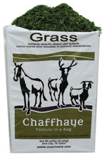 Chaffhaye Grass