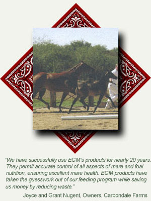 Nugent, EGM makes healthy horses